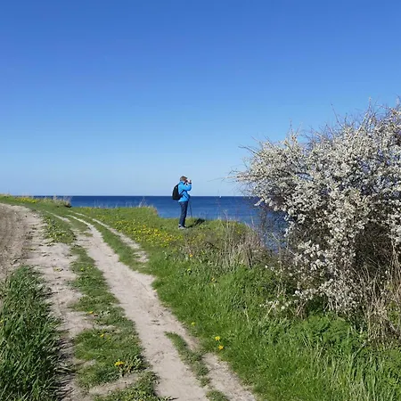 Strandlaeuferin 아파트 Schönhagen