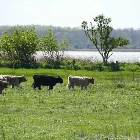 Strandlaeuferin 아파트 Schönhagen
