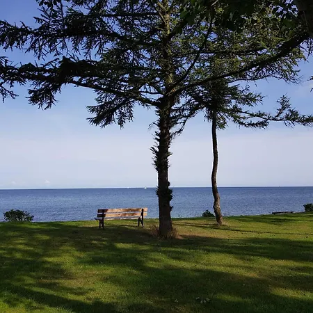 Strandlaeuferin Schönhagen