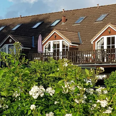 Strandlaeuferin * Schönhagen